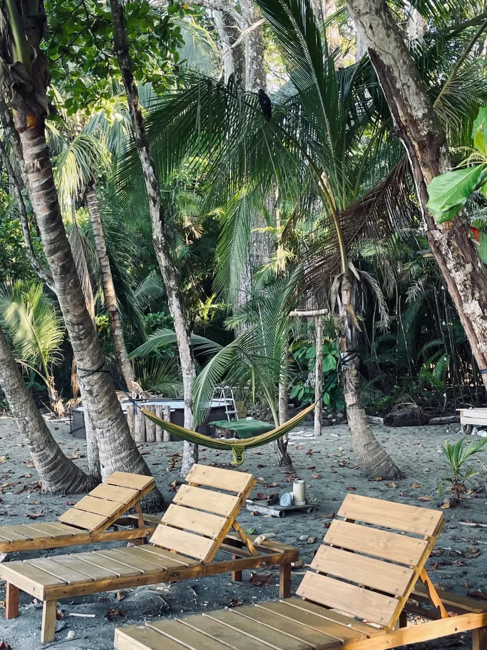 View from above of Playa Sombrero including the beach house of Paz and the Beach Lounge