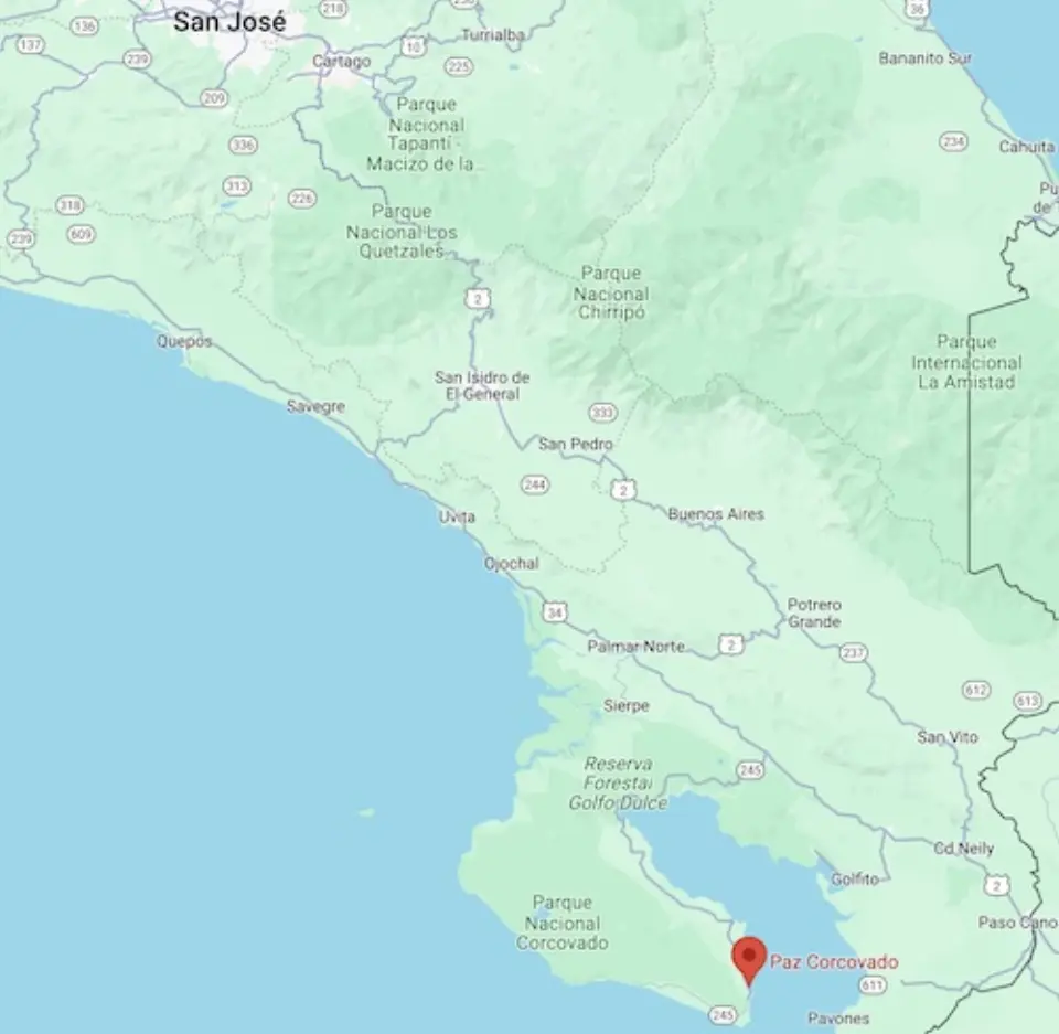 Living room photo of the beach house with the rainforest behind the floor to ceeling screened windows