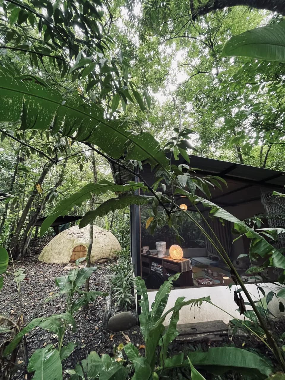View from above of Playa Sombrero including the beach house of Paz and the Beach Lounge
